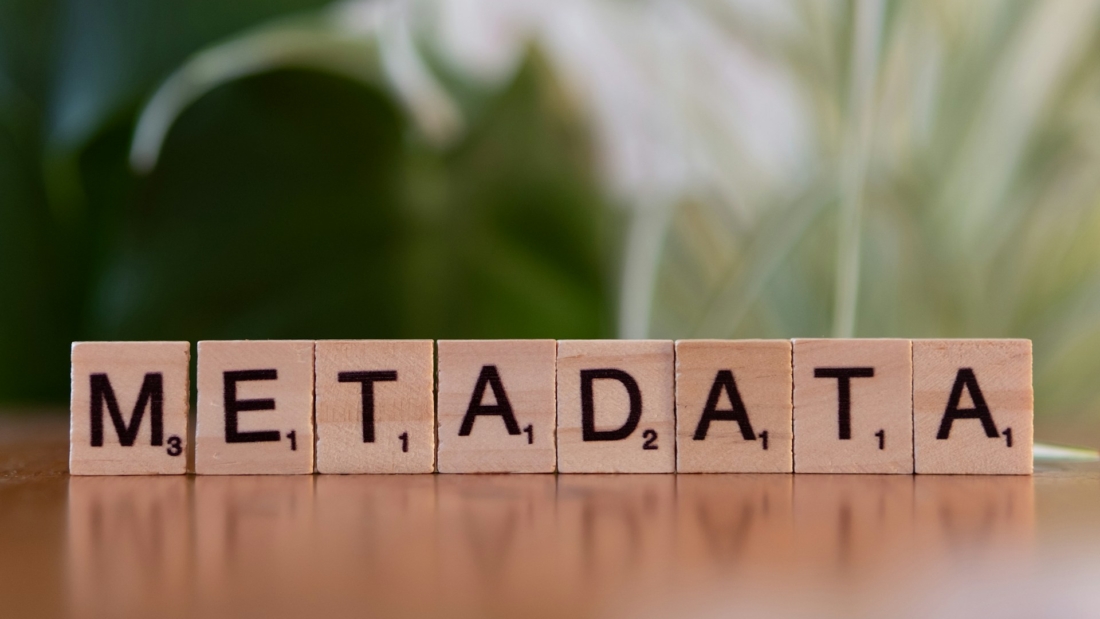 metadata-on-squabble-bocks