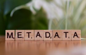 metadata-on-squabble-bocks