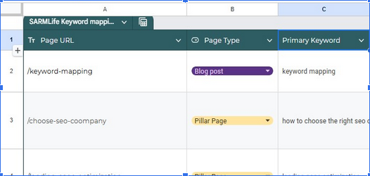 A COMPLETE GUIDE TO KEYWORD MAPPING FOR SEO + FREE TEMPLATE (2026) 4 SARMLife-keyword-mapping-template-2