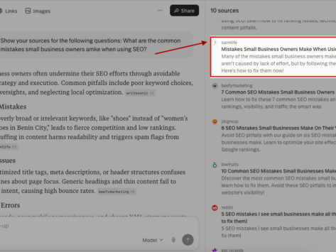 Small-business-owners-on-Perplexity