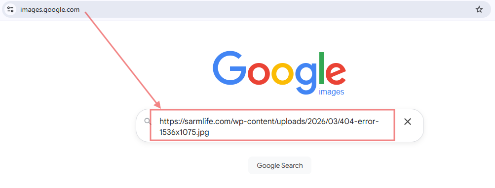 HOW TO DO A GOOGLE REVERSE IMAGE SEARCH EASILY IN 2026 13 google-reverse-image-search-using-image-url