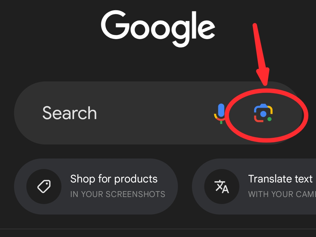 HOW TO DO A GOOGLE REVERSE IMAGE SEARCH EASILY IN 2026 5 reverse-image-search-using-Google-app