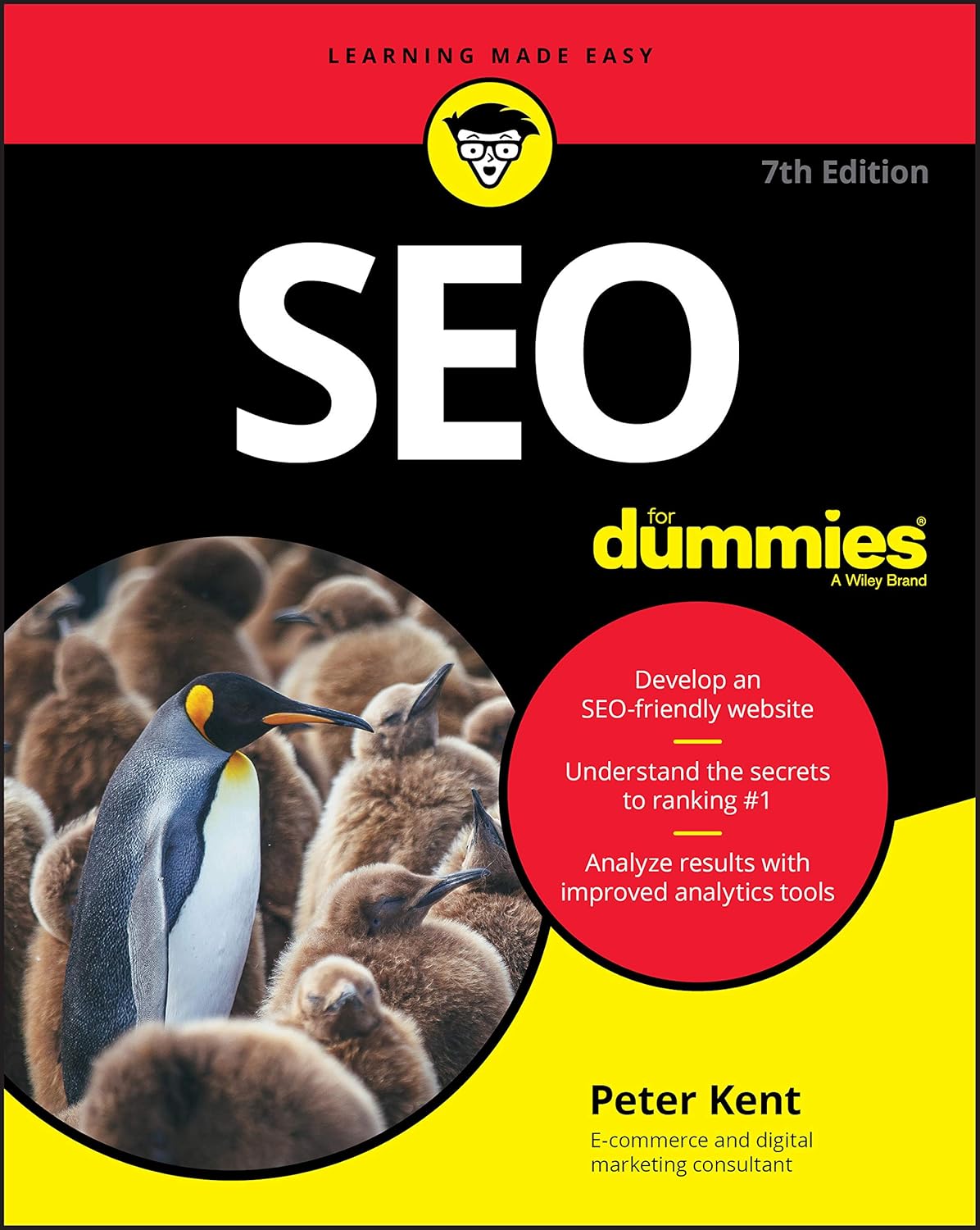 5 Best Beginner-Friendly SEO Books for Small Business Owners 6 SEO for Dummies cover page